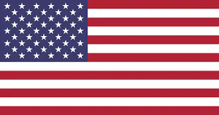 american flag-Edina