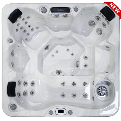 Costa-X EC-749LX hot tubs for sale in Edina