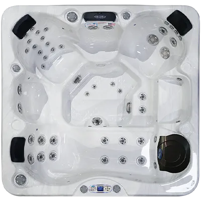 Avalon EC-849L hot tubs for sale in Edina