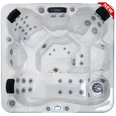 Avalon-X EC-849LX hot tubs for sale in Edina