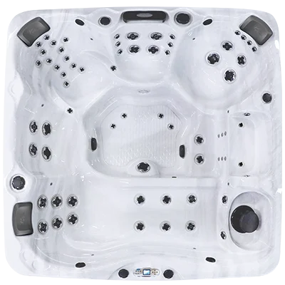 Avalon EC-867L hot tubs for sale in Edina