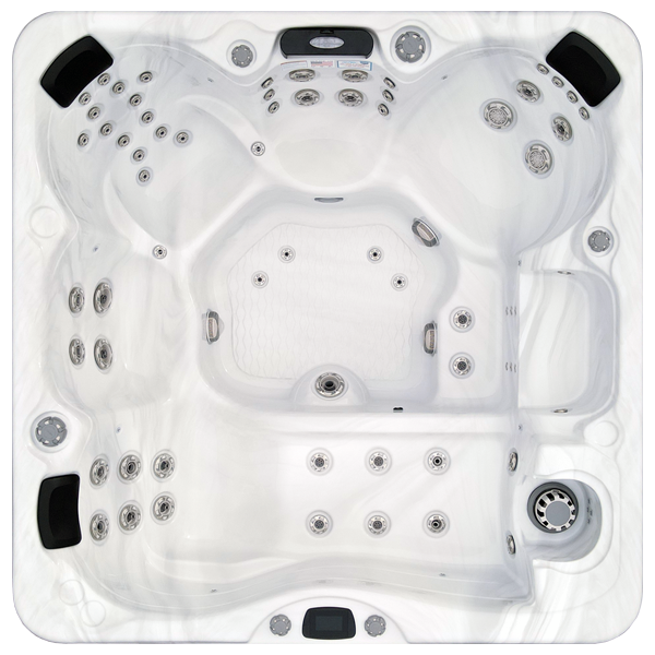 Avalon-X EC-867LX hot tubs for sale in Edina