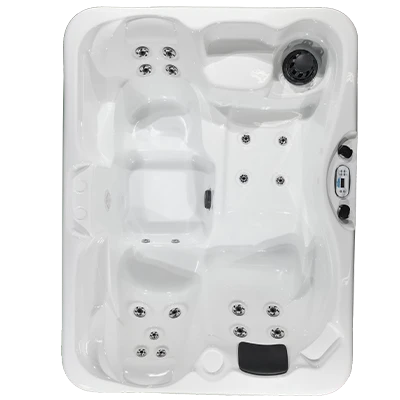 Kona PZ-519L hot tubs for sale in Edina